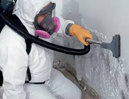 Biohazard Mold Removal in Luray, VA